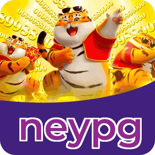 Métodos de pagamento aceitos na neypg